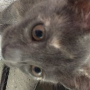 Meet your Posher, Brenda